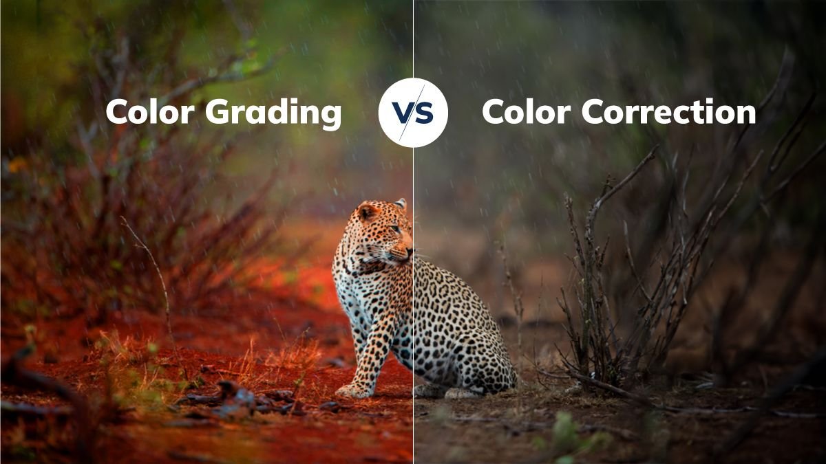 Common Color Grading Mistakes to Avoid